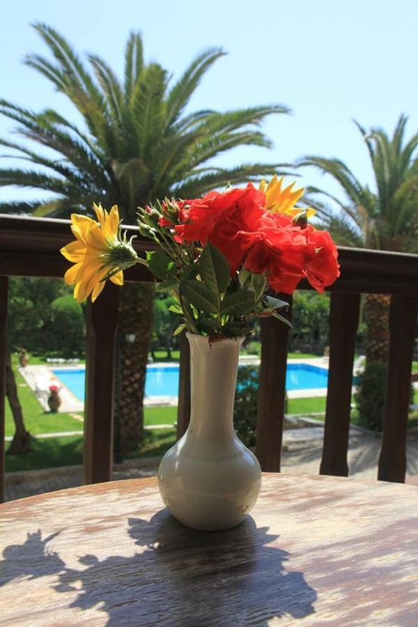 Fiori Hotel Гоувия Экстерьер фото